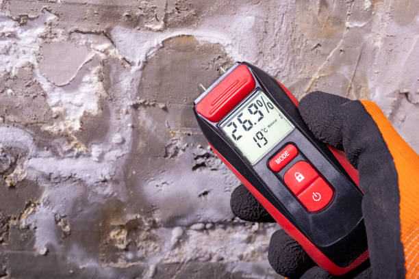 Best Mold Testing and Removal  in La Crosse, WI