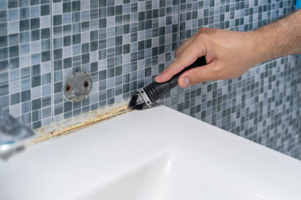 Best Black Mold Removal  in La Crosse, WI