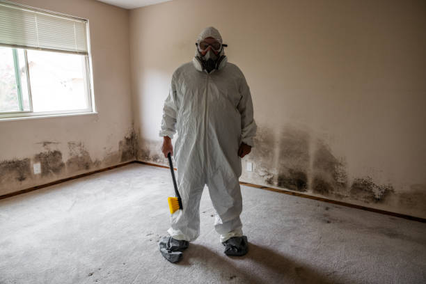 Mold Removal and Inspection in La Crosse, WI